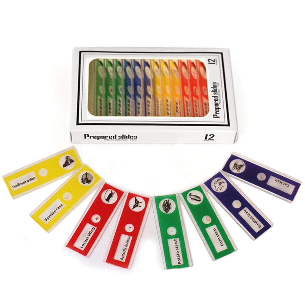 MicroKids – Microscopio de Bolsillo Infantil